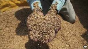 Rising food prices increase squeeze on poor - Oxfam