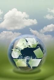 10 Environmental Issues