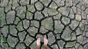 Five UK Counties Now In The Grip Of Drought