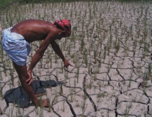 Experts workshop in South Asia on climate change, food, and water security