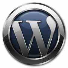 WordPress.com Intros Ad Program, Disses Google AdWords