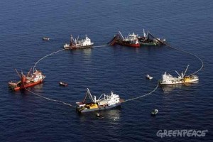 Overfishing the Mediterranean