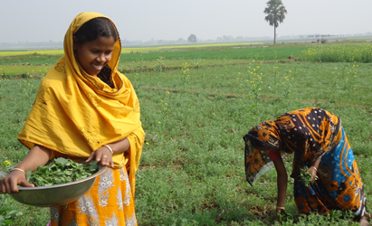 Bangladesh wins the Earth Care Award 2012 Adaptation Project