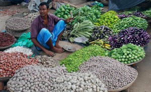 Vegetables farming