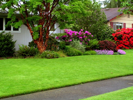 Which emits more CO2, corn fields or home lawns?