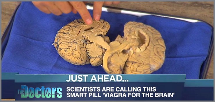 Is This Smart Drug The Most Powerful Brain Enhancer in the World?