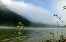 UPLAND FRESHWATER SWAMP DISCOVERED FROM RANGAMATI, BANGLADESH