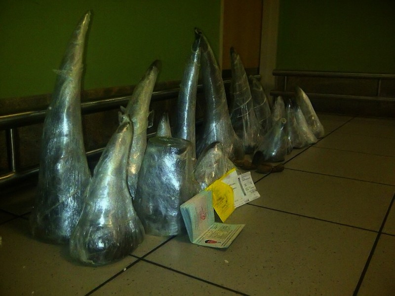 Rhino horns, elephant tusks seized in Vietnam
