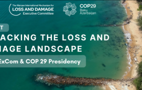 Unpacking the loss and damage landscape - WIM ExCom and COP 29 Presidency event